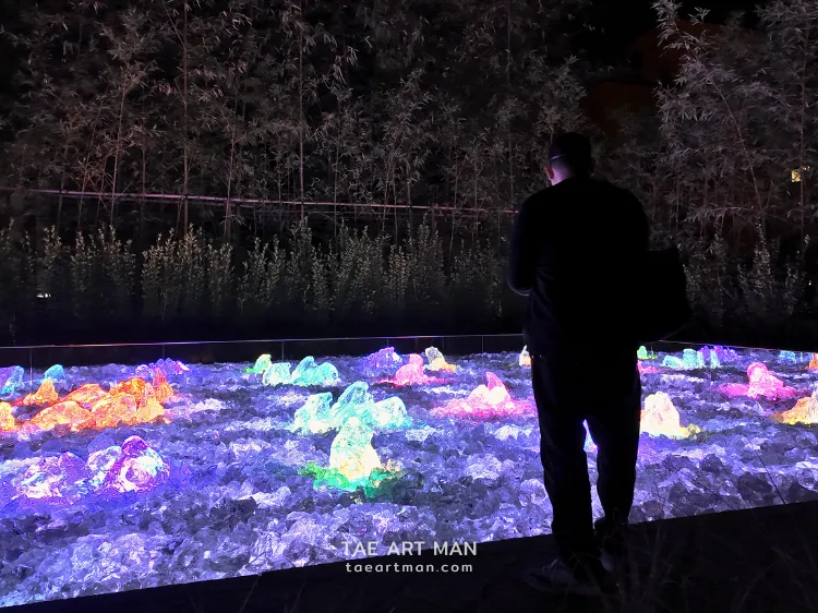 teamLab: Field of Wind, Rain and Sun